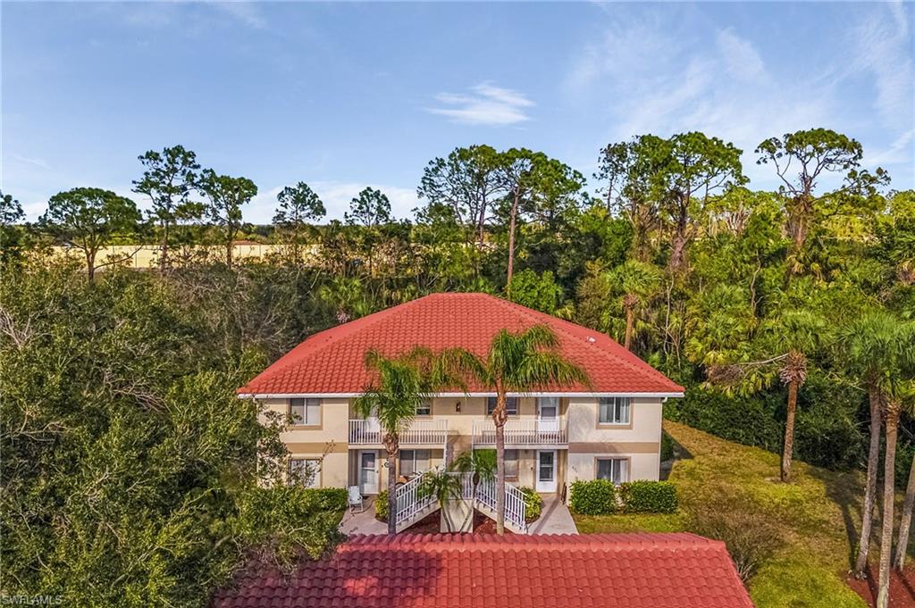 620 Luisa CT 803