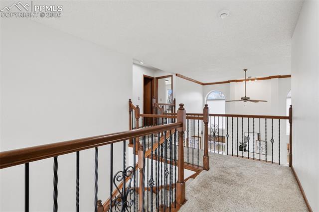 8695 Ballantrae Drive