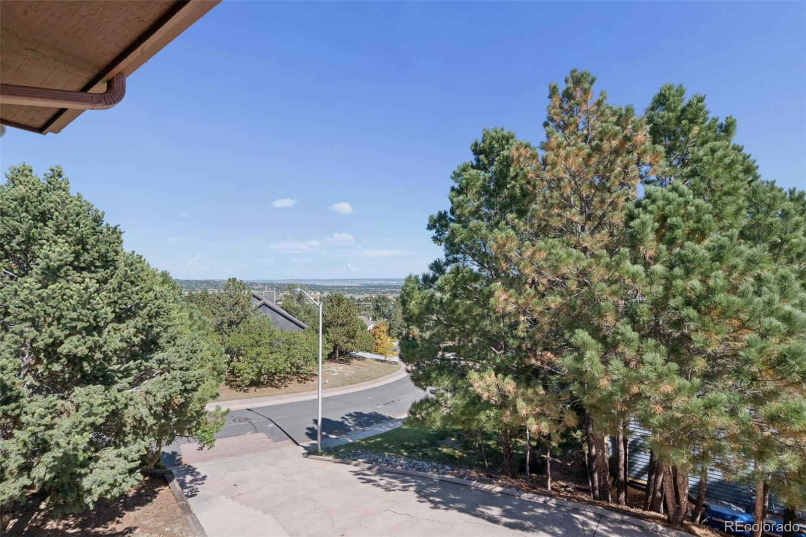Tree-lined street and distant city view from a sloped driveway.