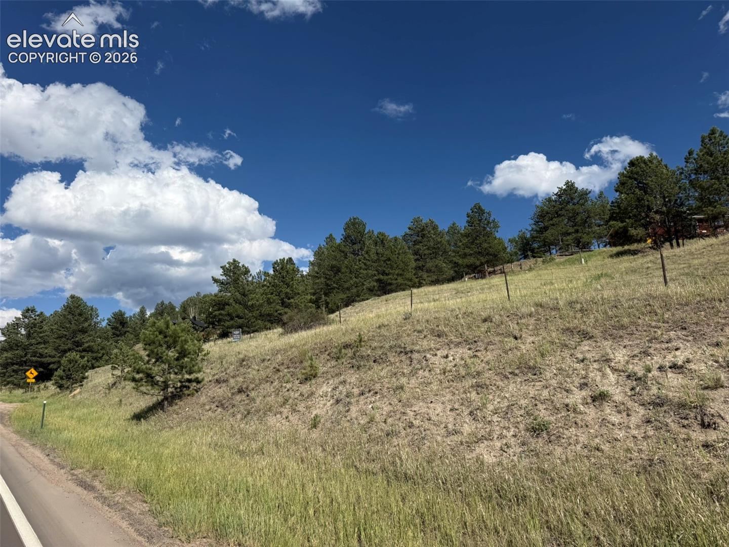 Grassy hillside property with pine trees, a wire fence, and a road along its edge.