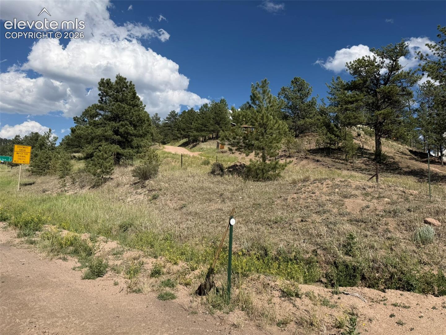 Sloping vacant land with scattered pine trees, scrub grass, and a dirt driveway.