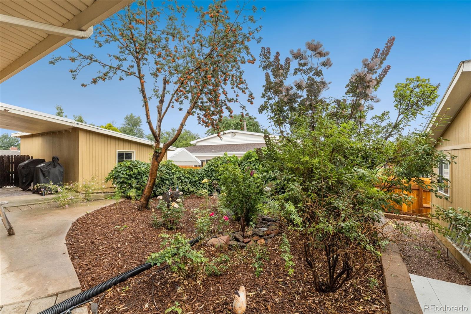 1433 Tweed Street