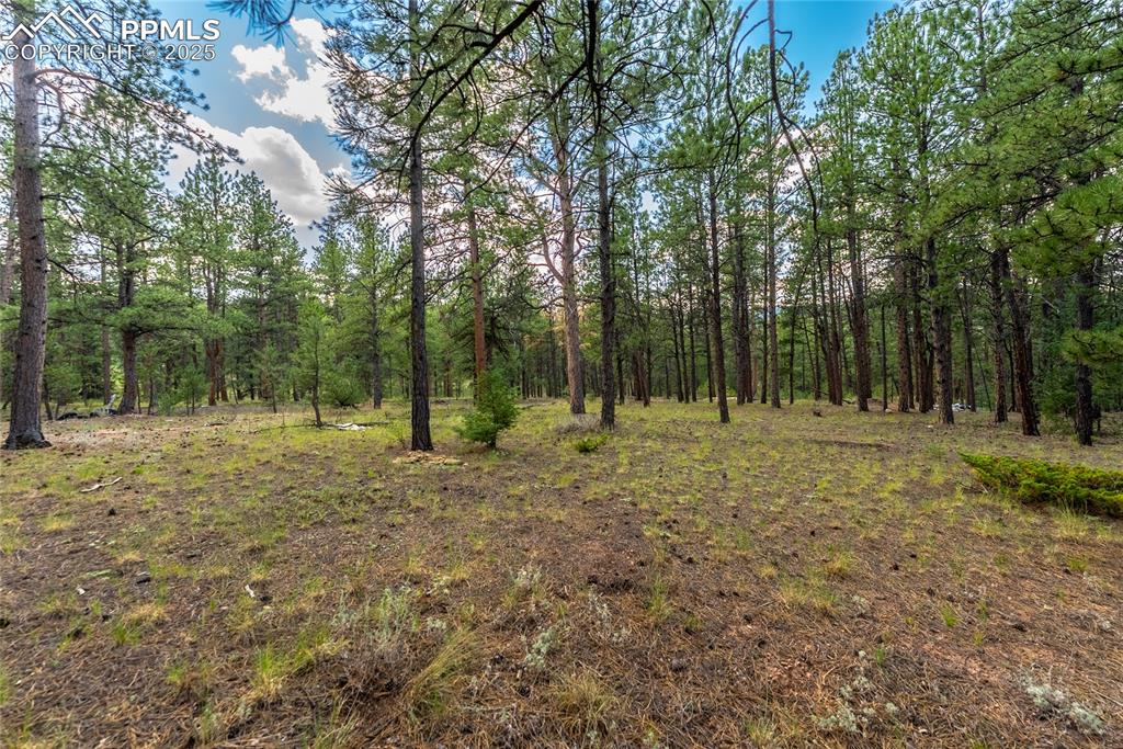 29507 Highway 67