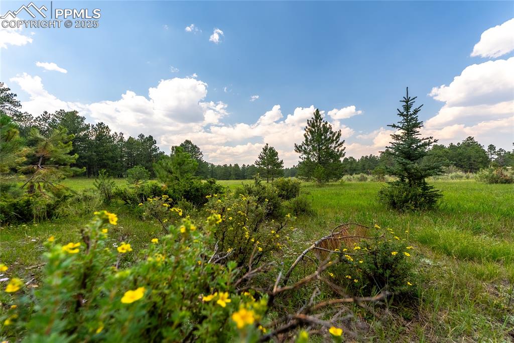 29507 Highway 67