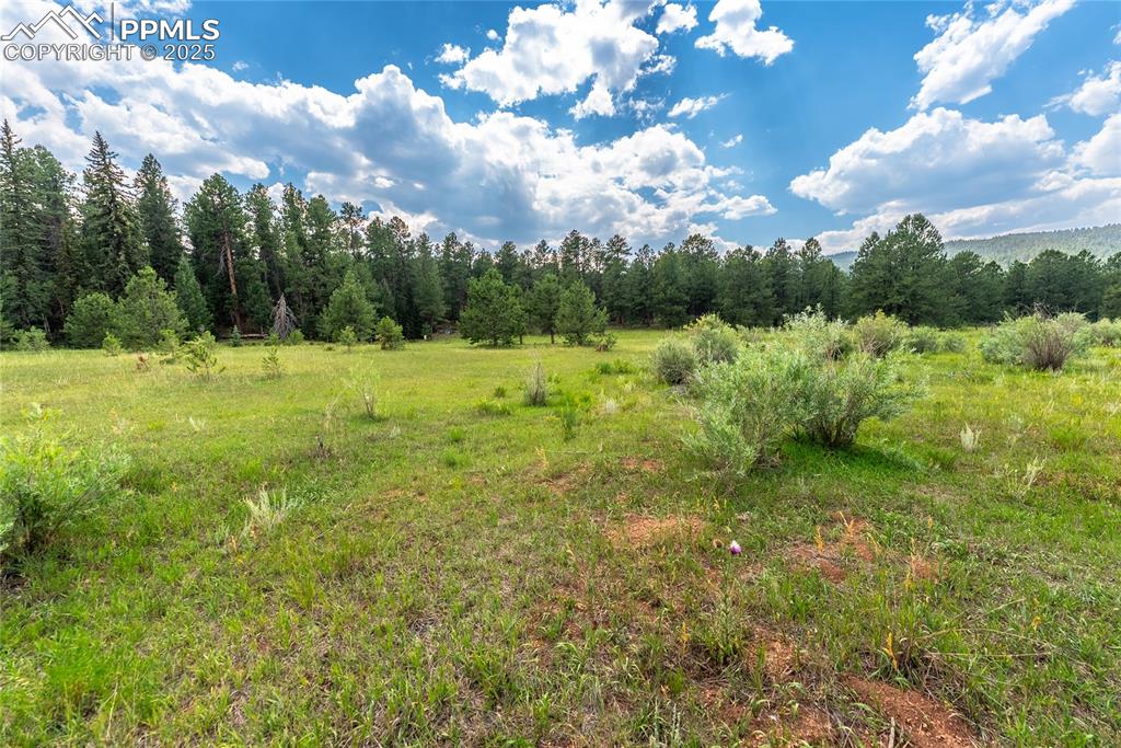29507 Highway 67