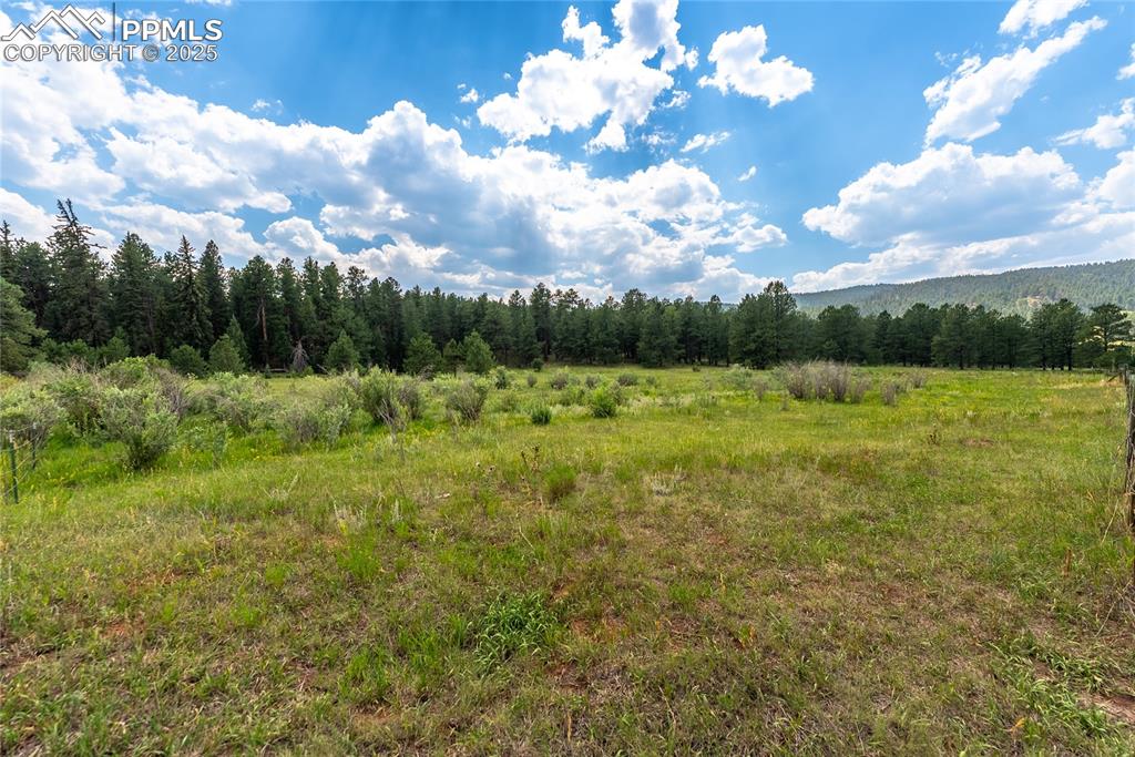 29507 Highway 67