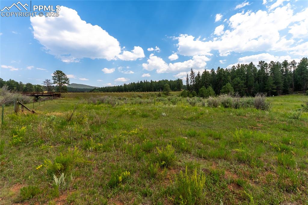 29507 Highway 67