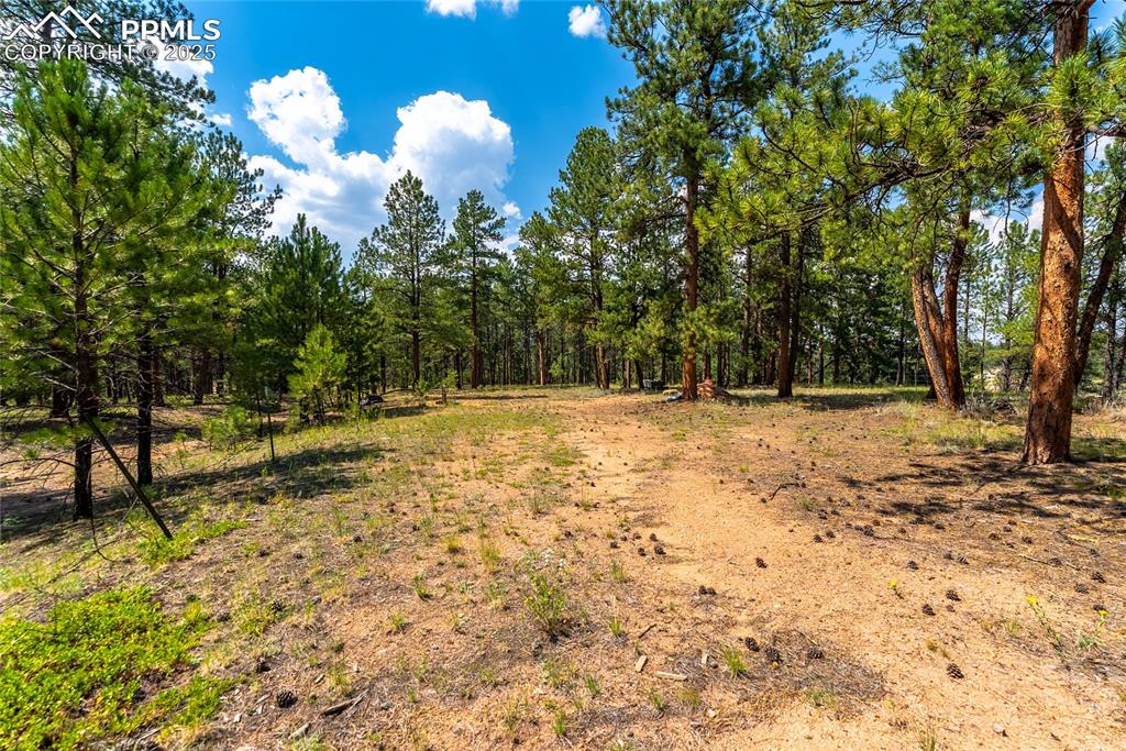 29507 Highway 67