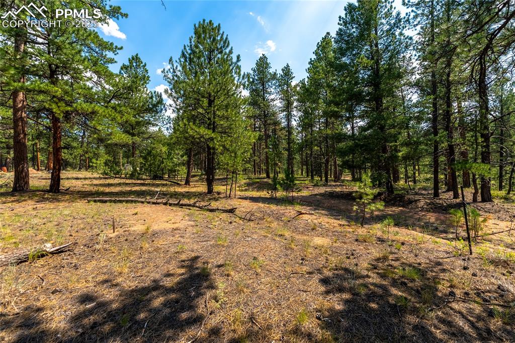 29507 Highway 67