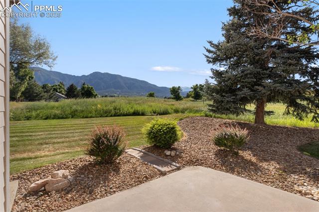 330 Cobblestone Drive