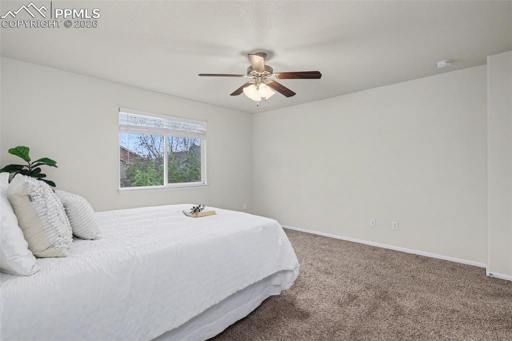 2465 Sierra Springs Drive