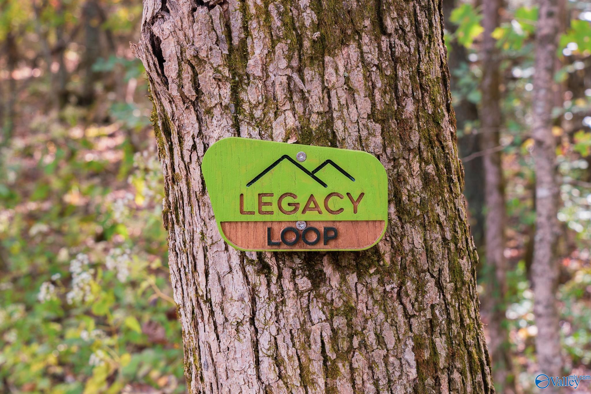 1614 Bridgedale Street NE