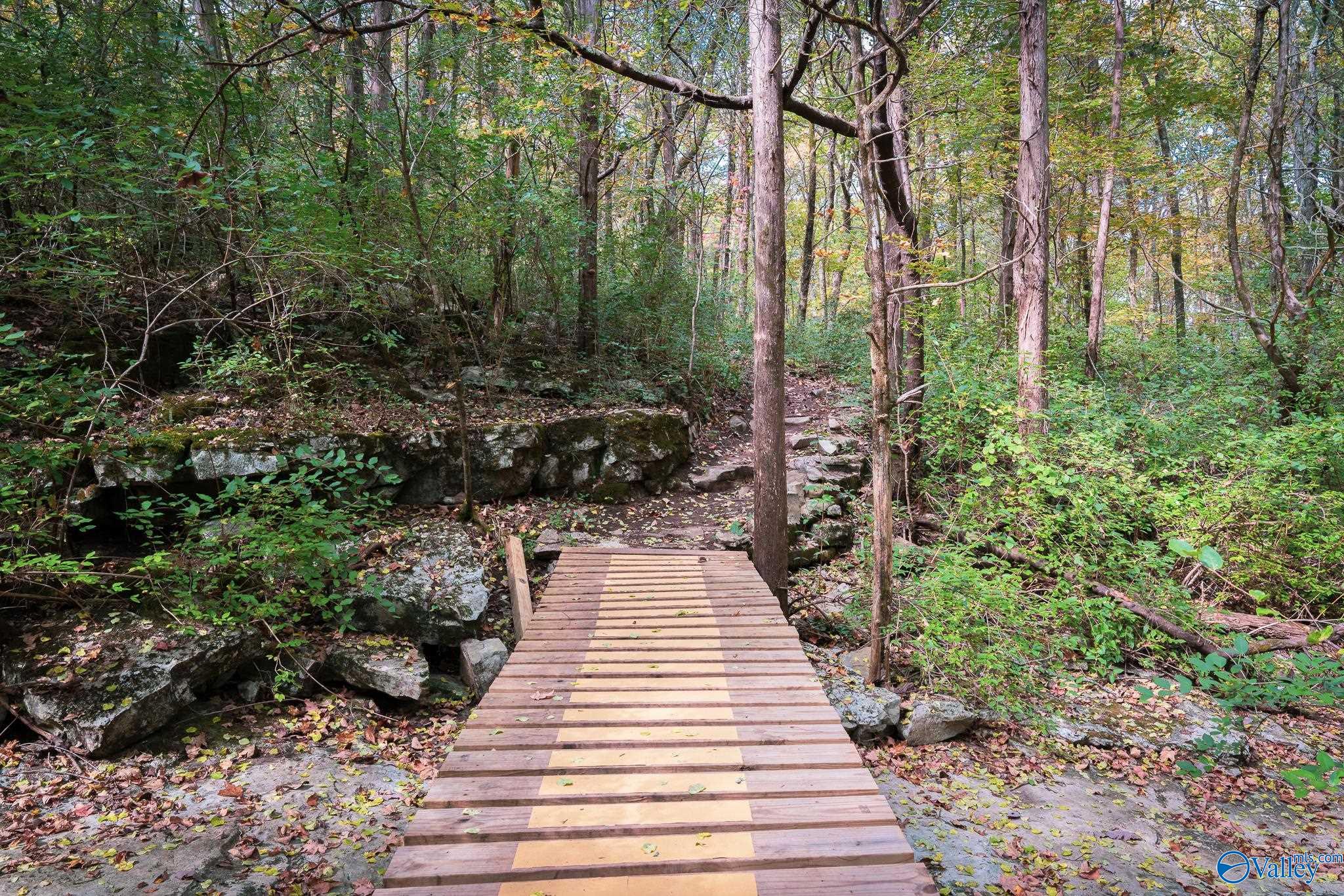 1614 Bridgedale Street NE