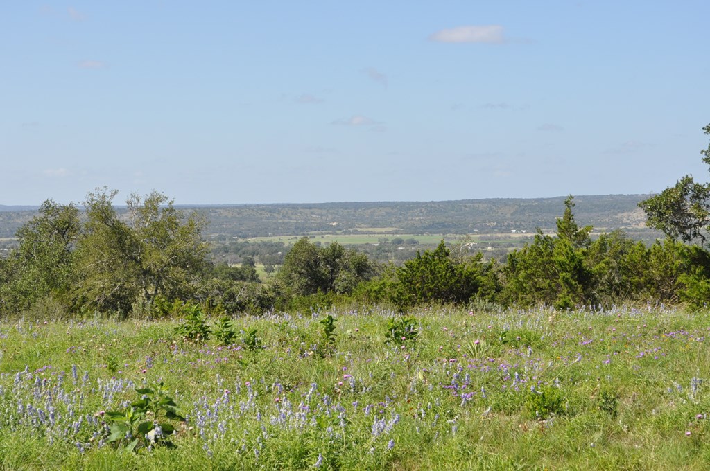 1 Cielo Vista Ct