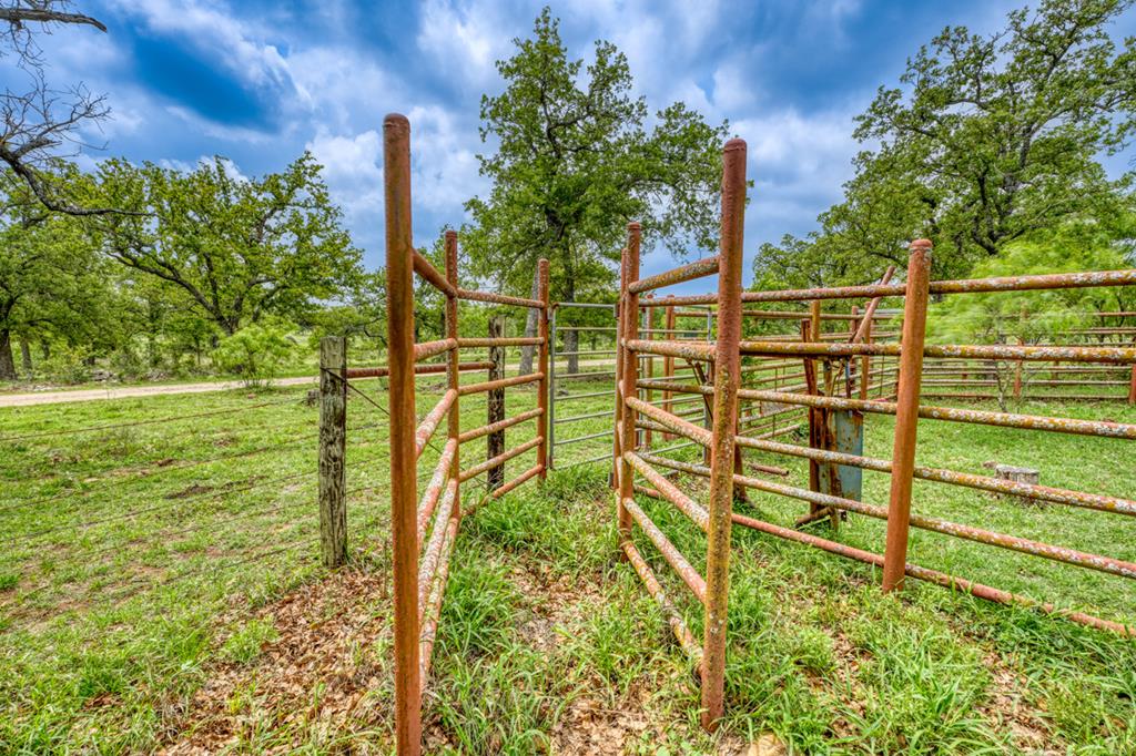 11446 N State Hwy 16