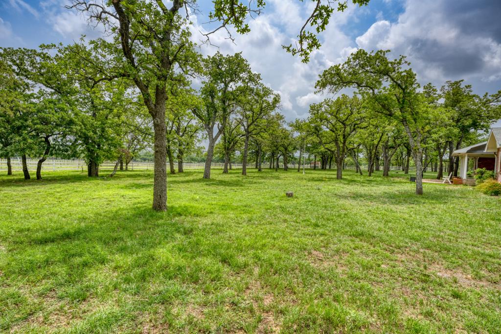 11446 N State Hwy 16