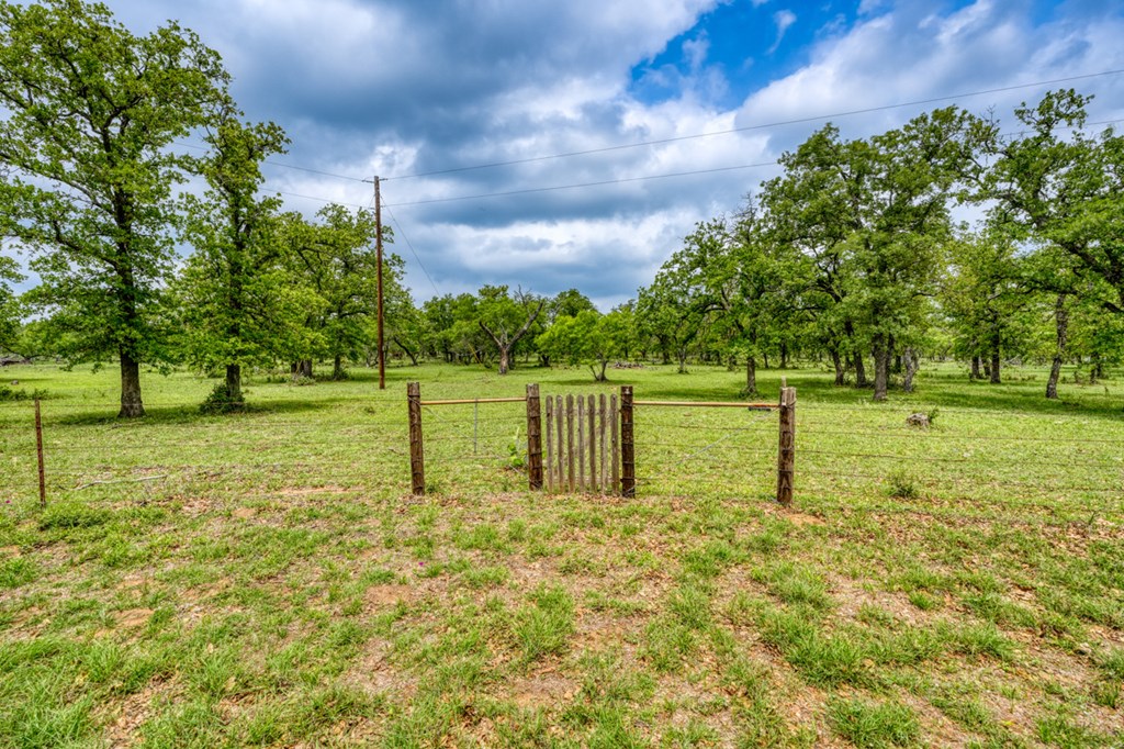 11446 N State Hwy 16