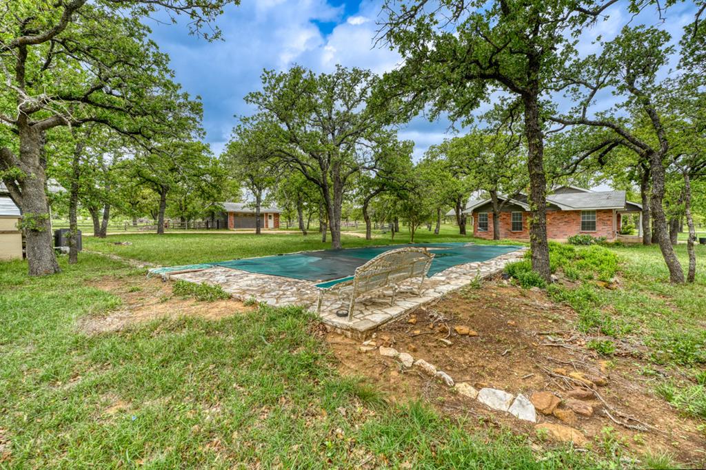 11446 N State Hwy 16