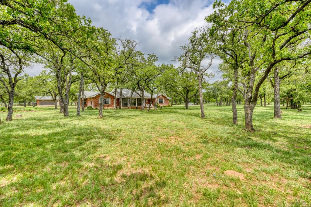 11446 N State Hwy 16