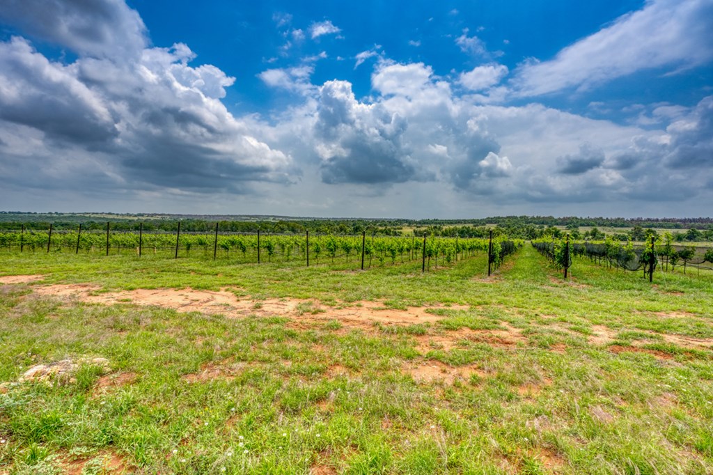 11446 N State Hwy 16