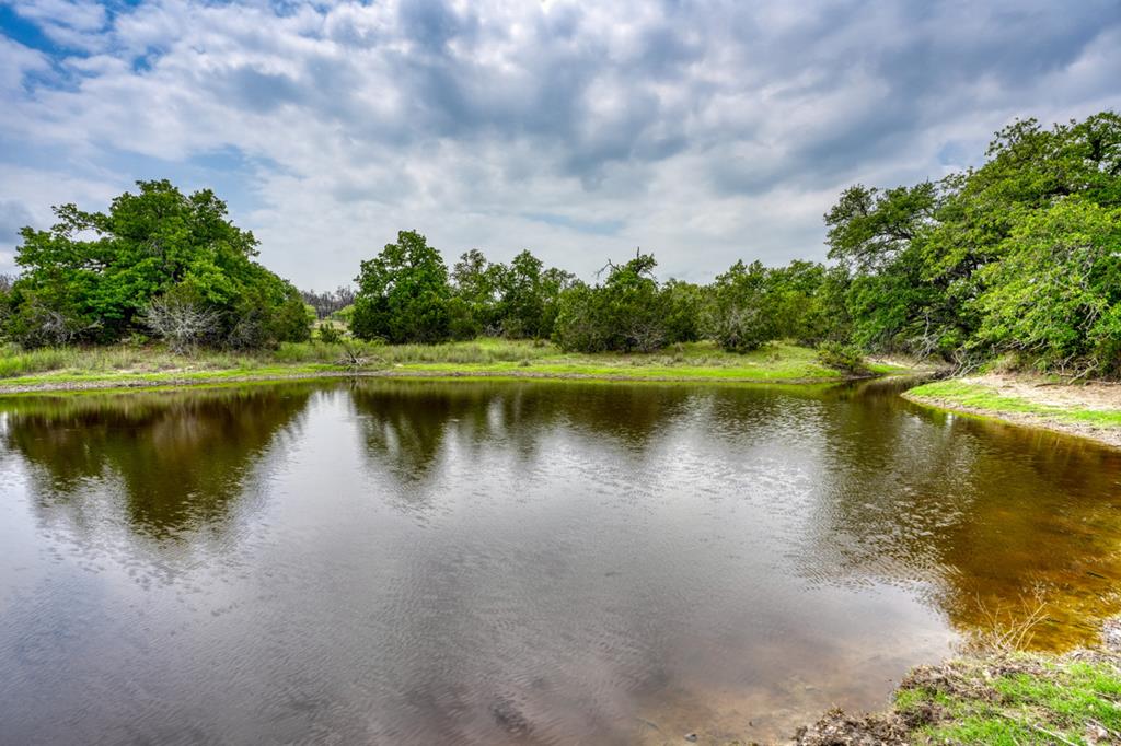 11446 N State Hwy 16