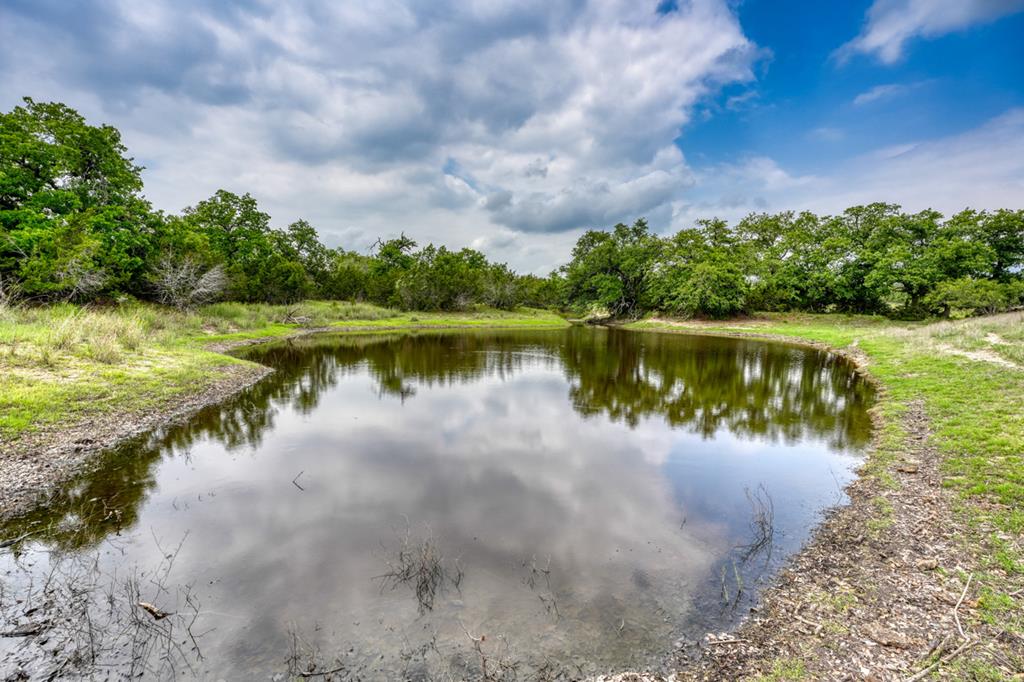 11446 N State Hwy 16