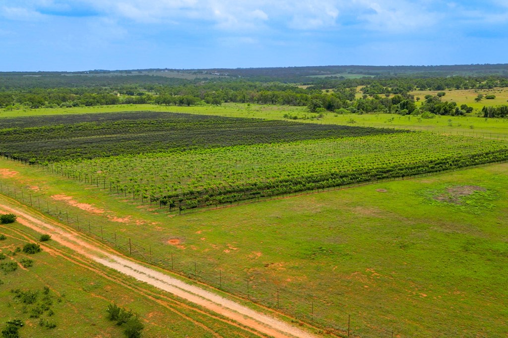 11446 N State Hwy 16