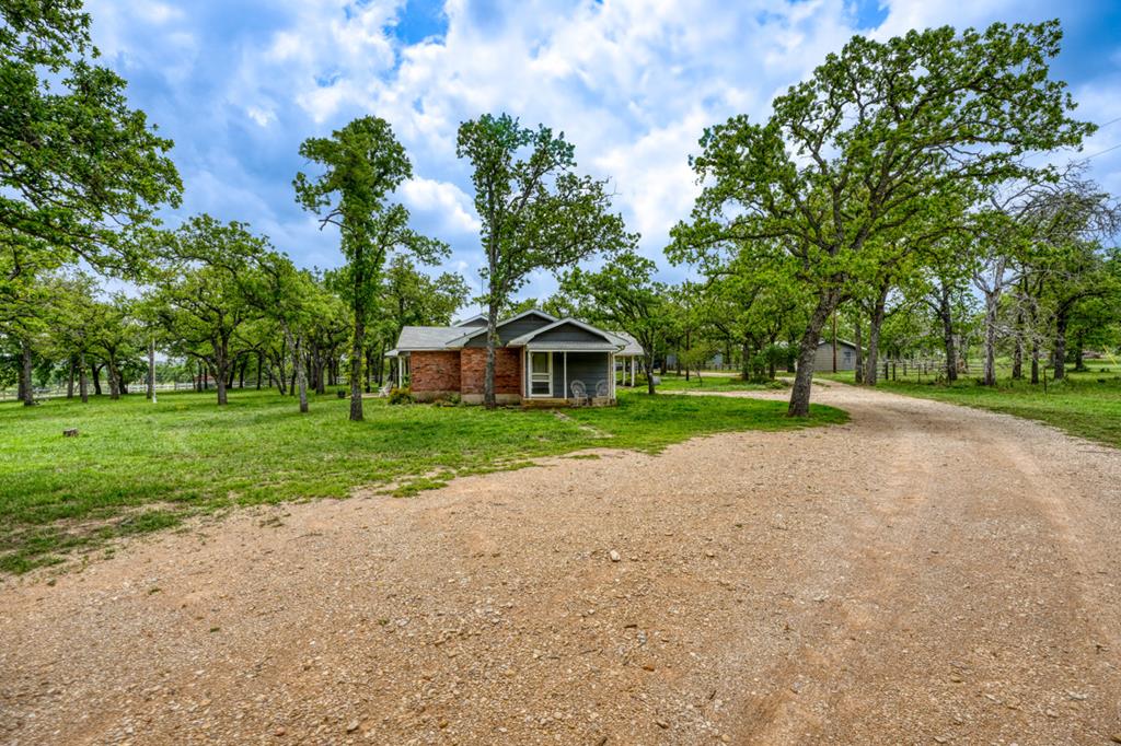 11446 N State Hwy 16