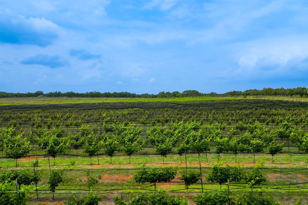 11446 N State Hwy 16