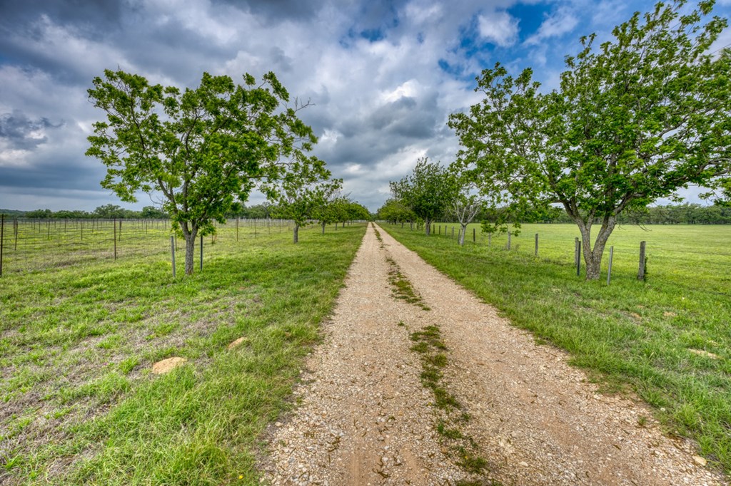 11446 N State Hwy 16