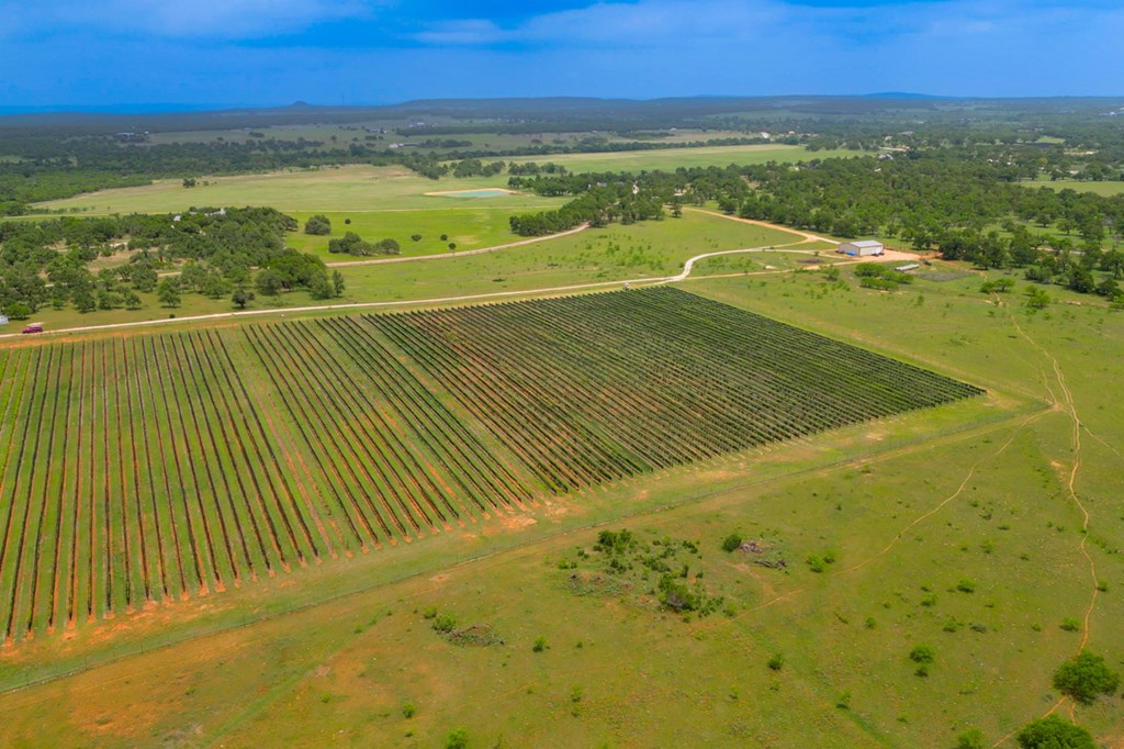 11446 N State Hwy 16