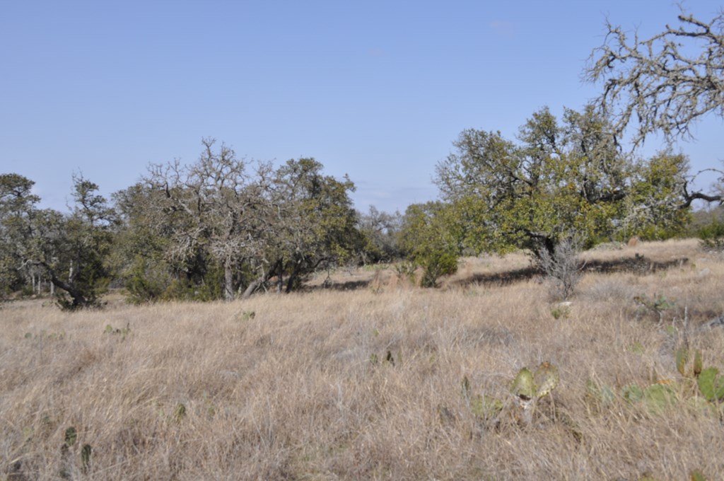tbd Thriving Oak Dr.