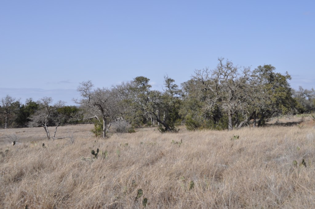 tbd Thriving Oak Dr.