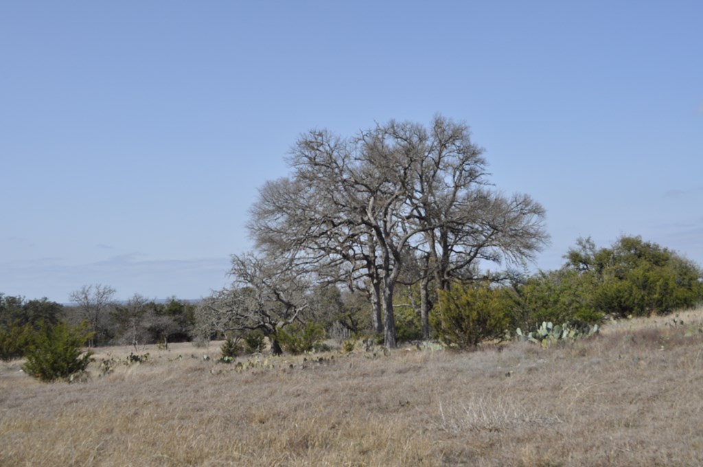 tbd Thriving Oak Dr.