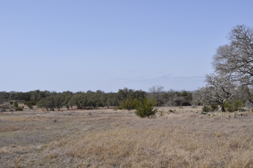 tbd Thriving Oak Dr.