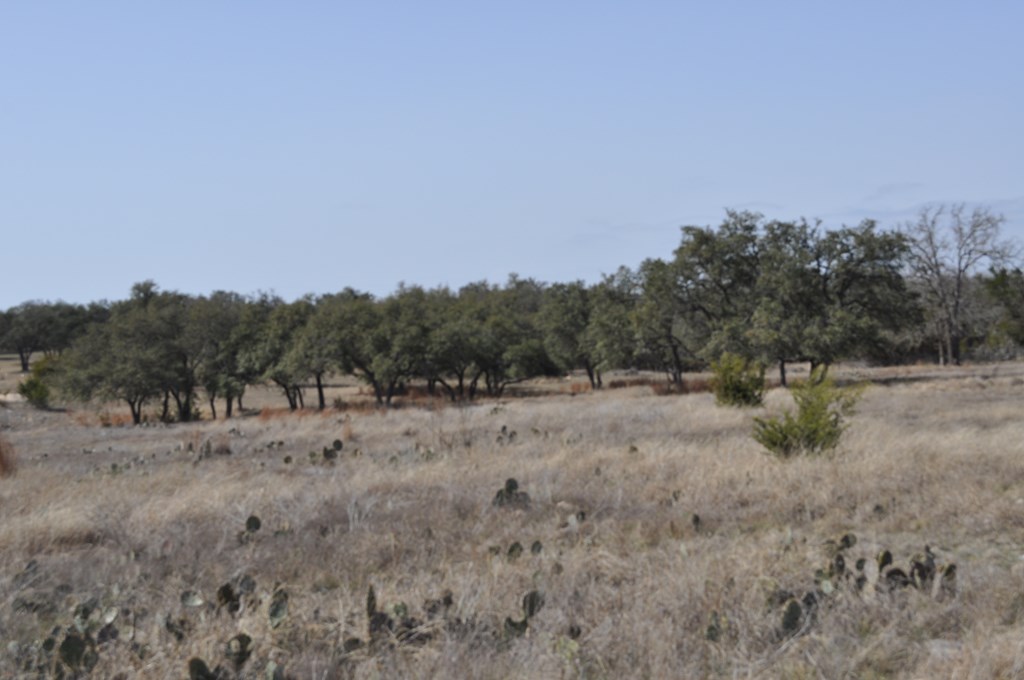 tbd Thriving Oak Dr.