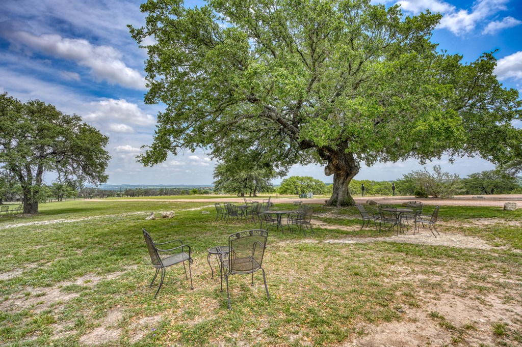 2916 Upper Albert Rd