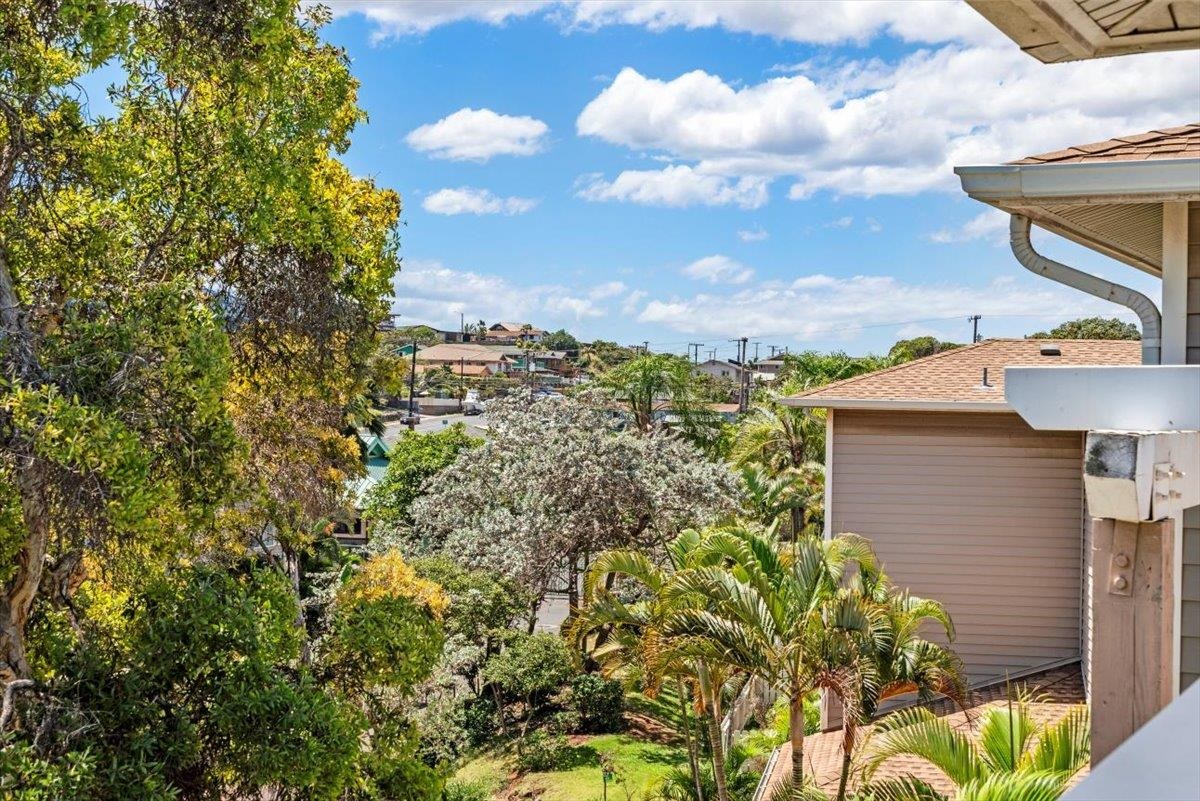 60 Kunihi Ln Unit: 337