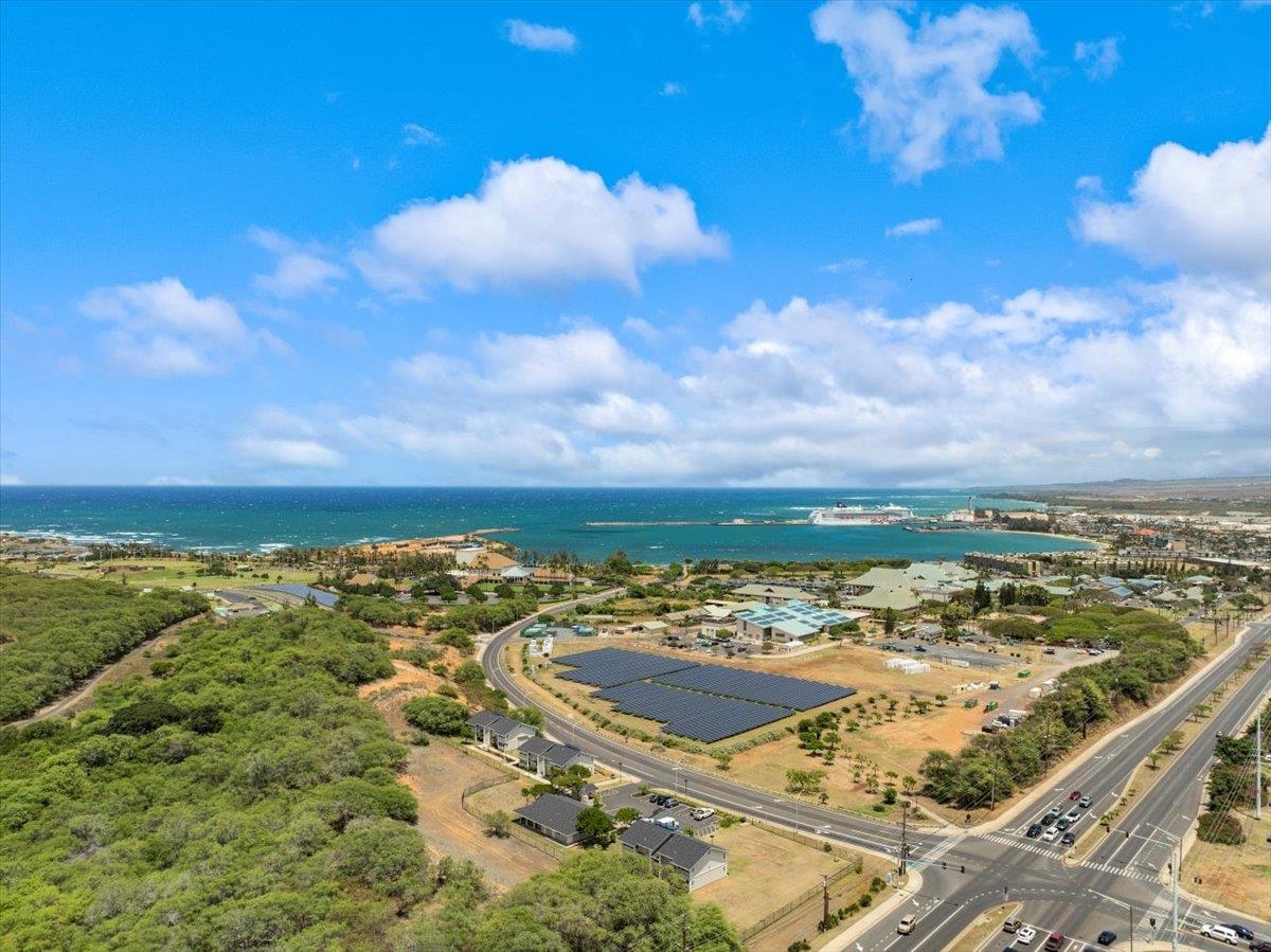 60 Kunihi Ln Unit: 337