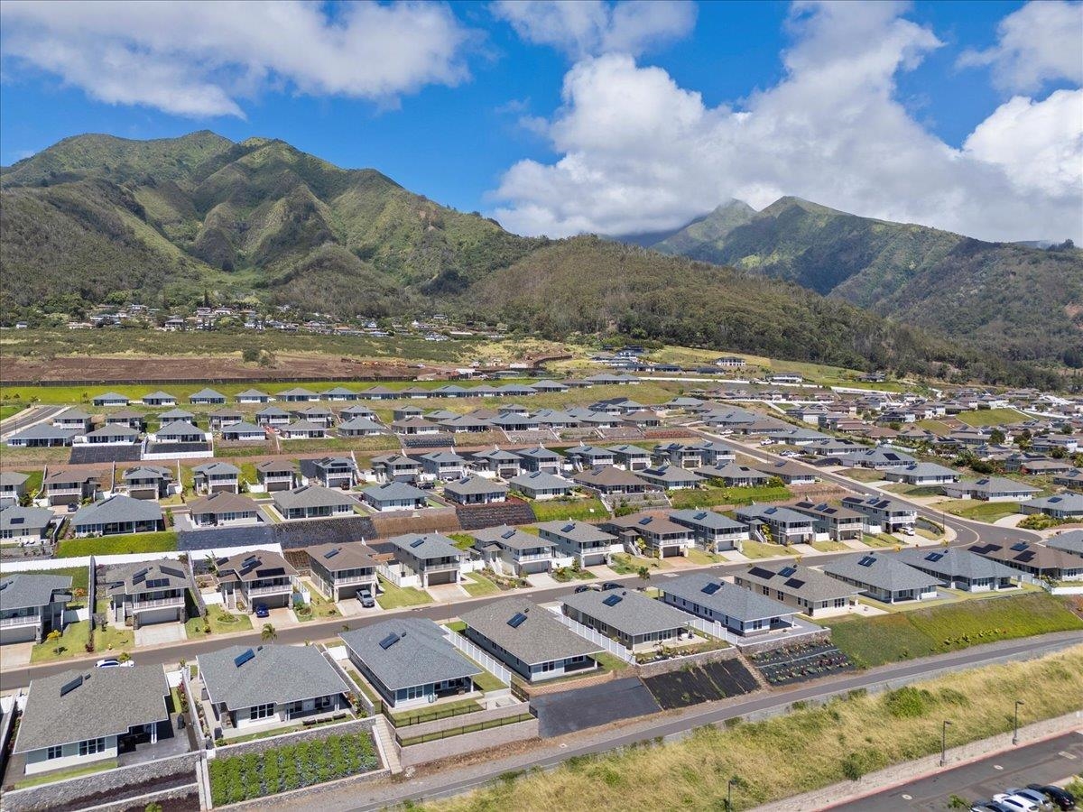 281 Pua Kalaunu Loop