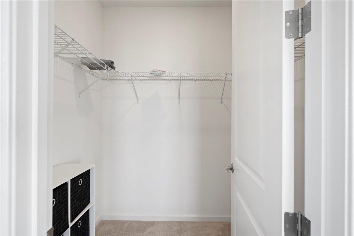 281 Pua Kalaunu Loop