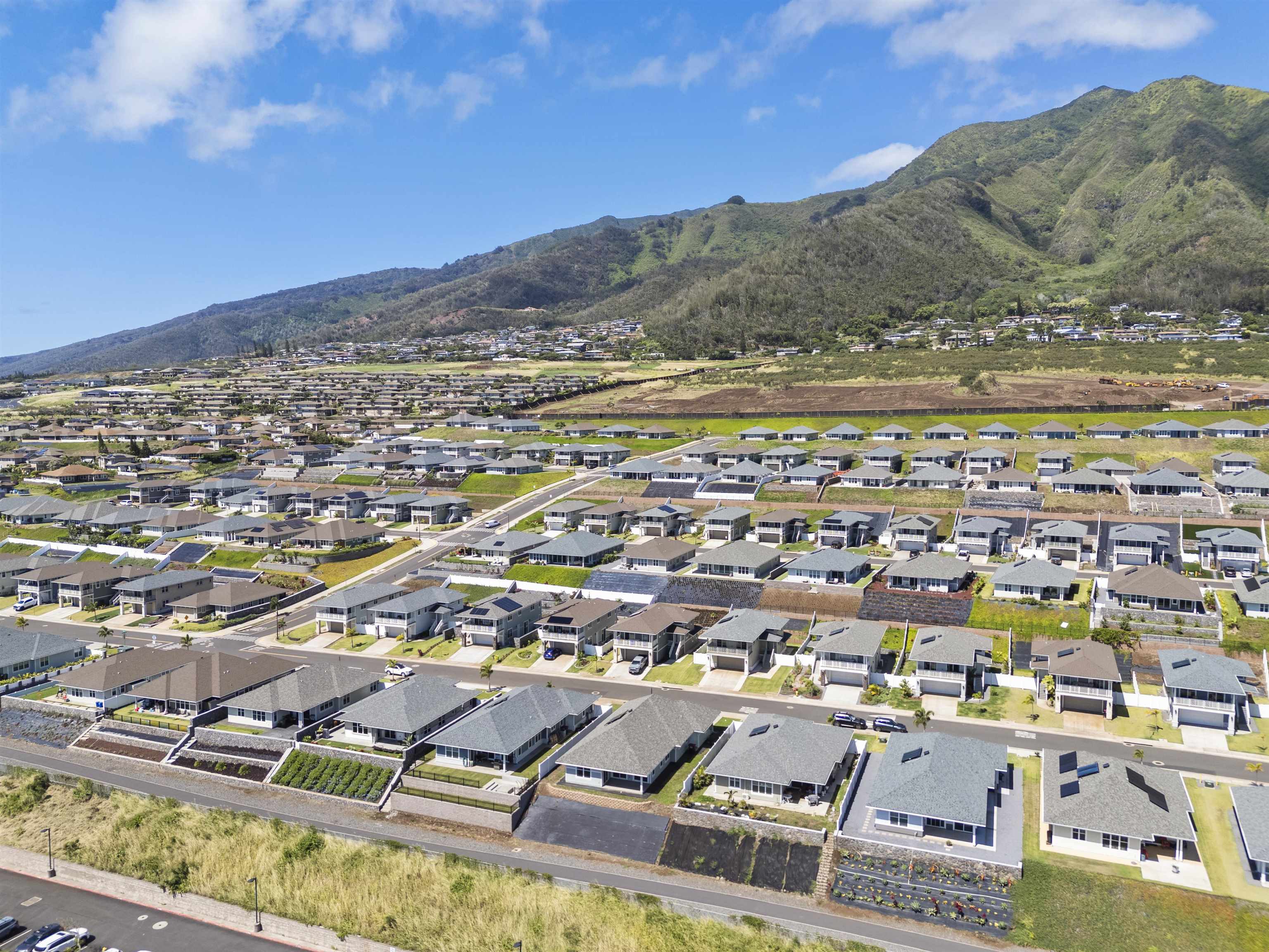 281 Pua Kalaunu Loop