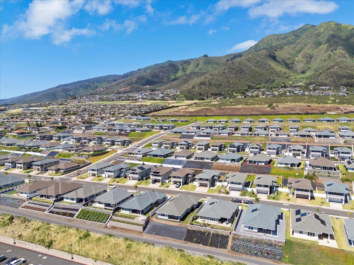 281 Pua Kalaunu Loop