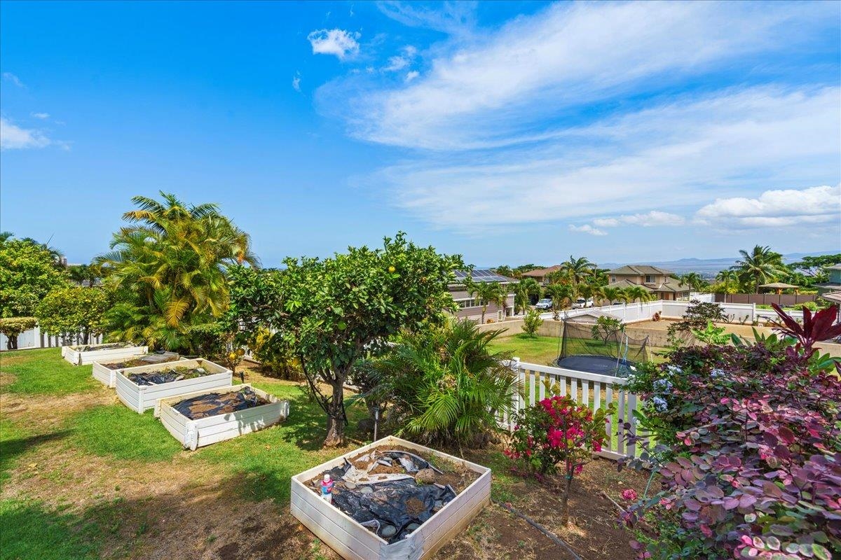 29 Maunaleo St Unit: 11