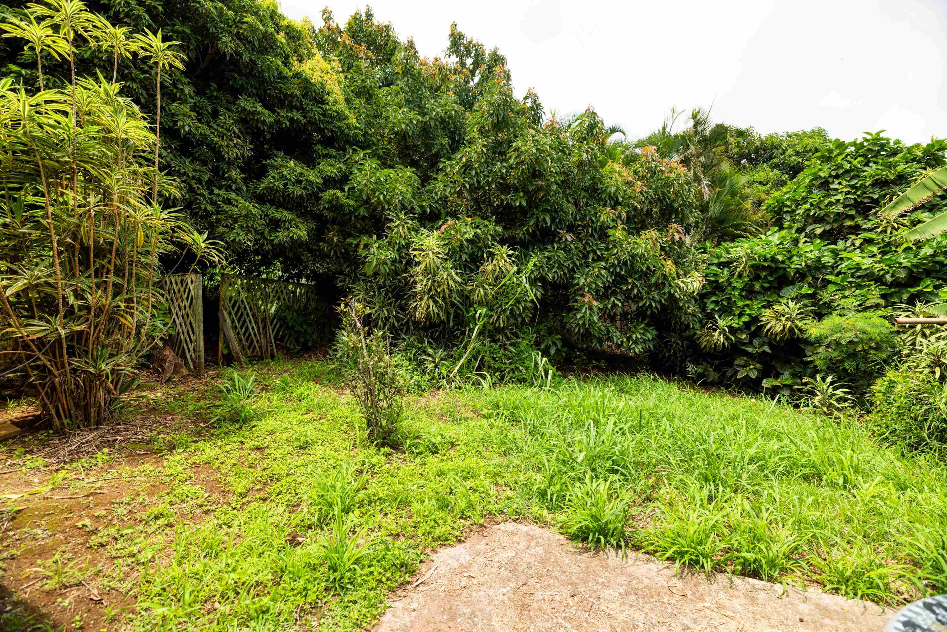 401 Palani Pl