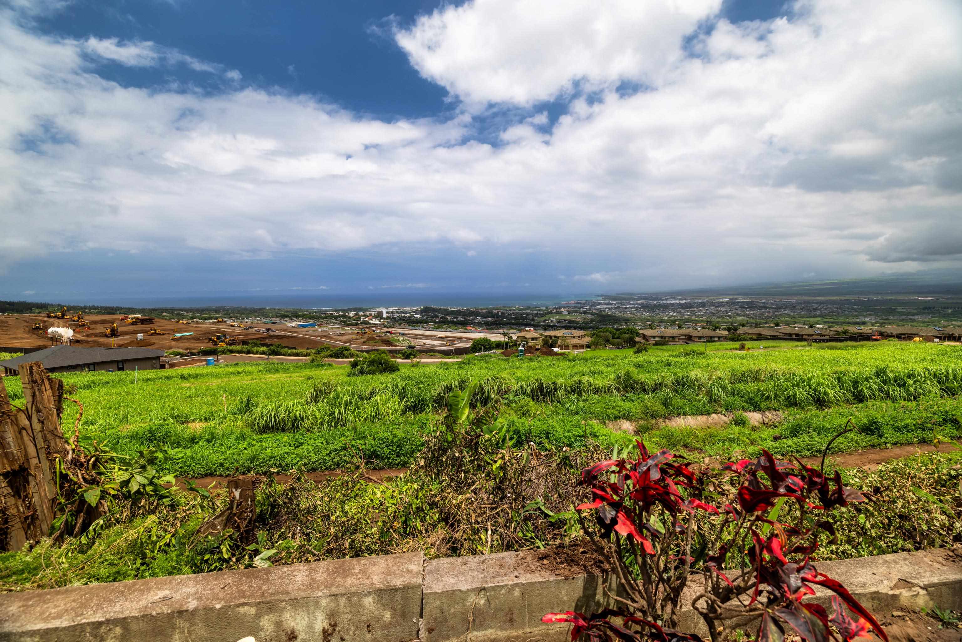 401 Palani Pl