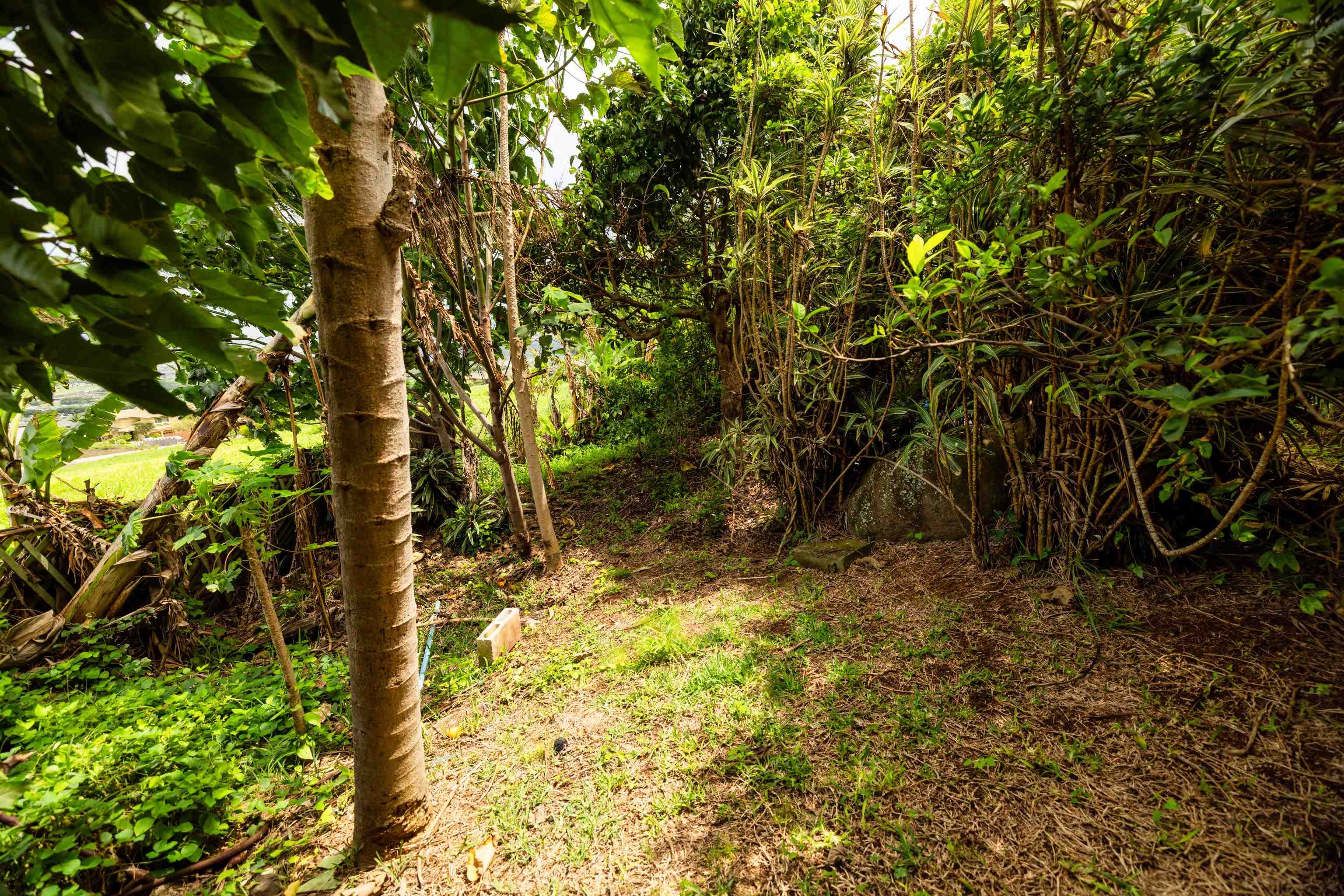 401 Palani Pl