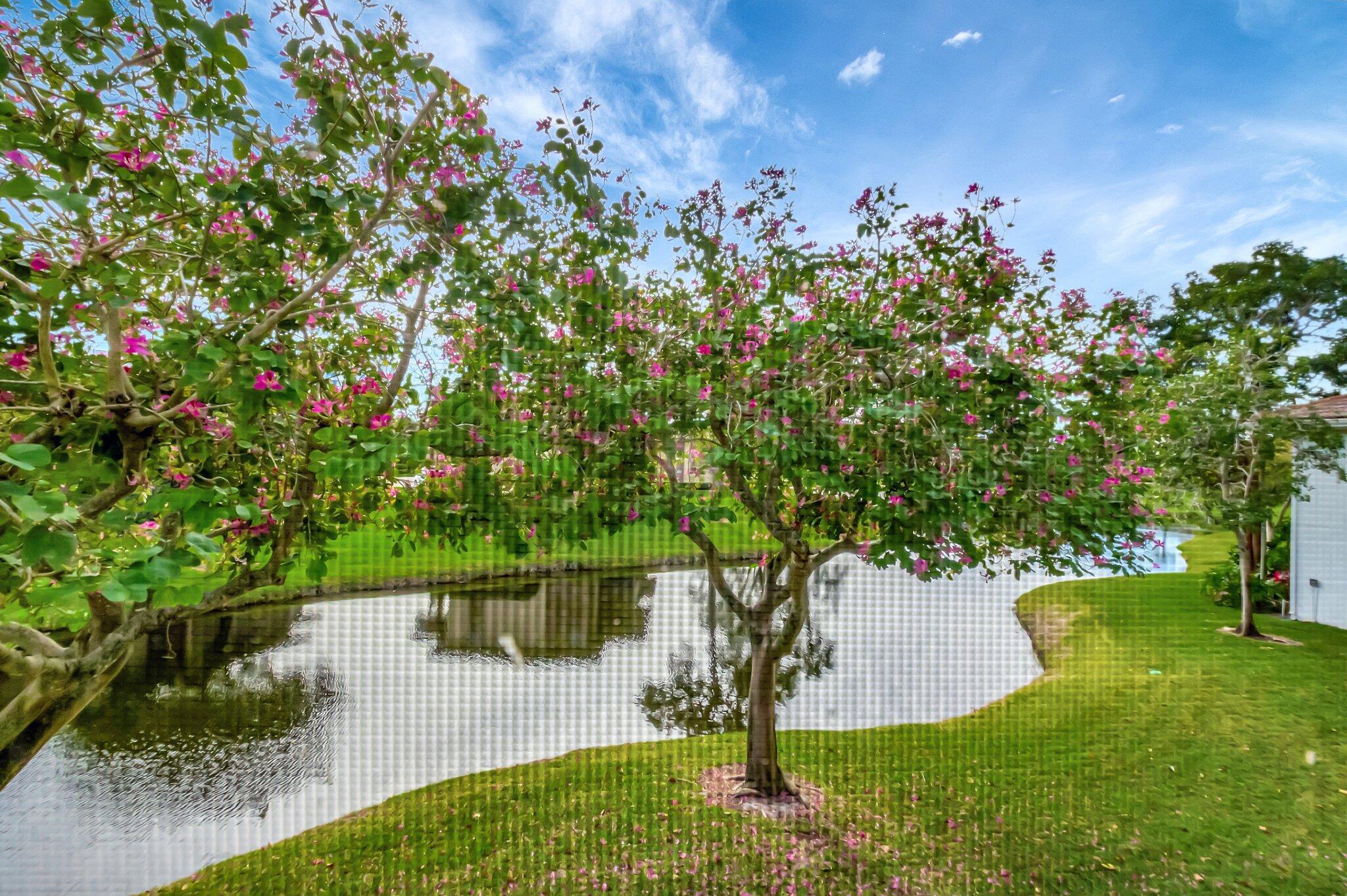 19945 Boca West Drive 3142