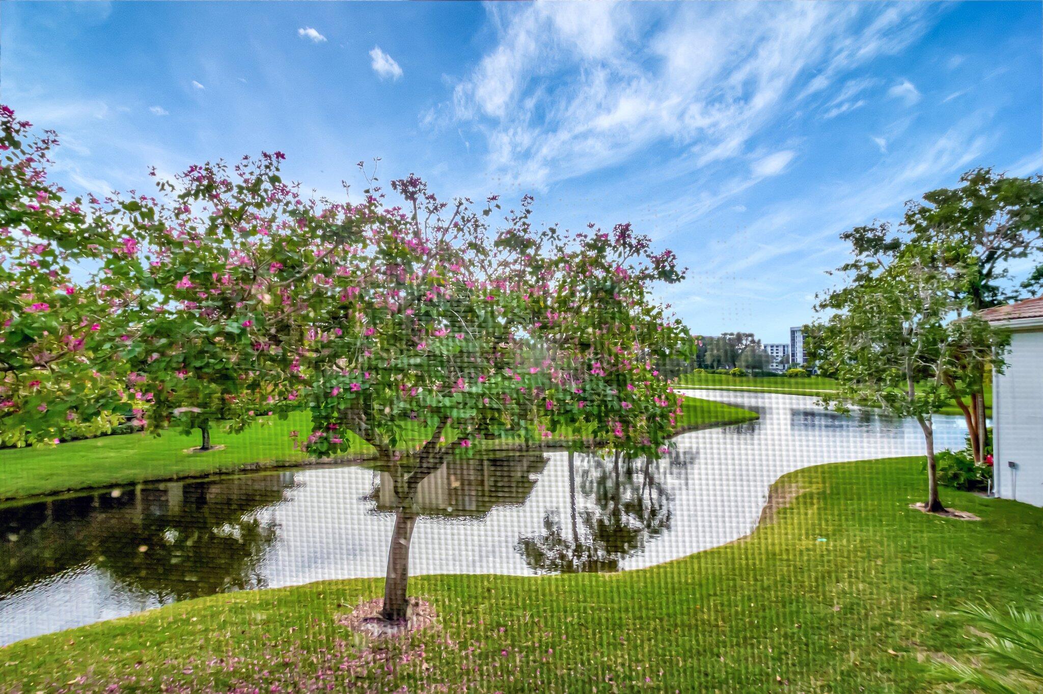 19945 Boca West Drive 3142
