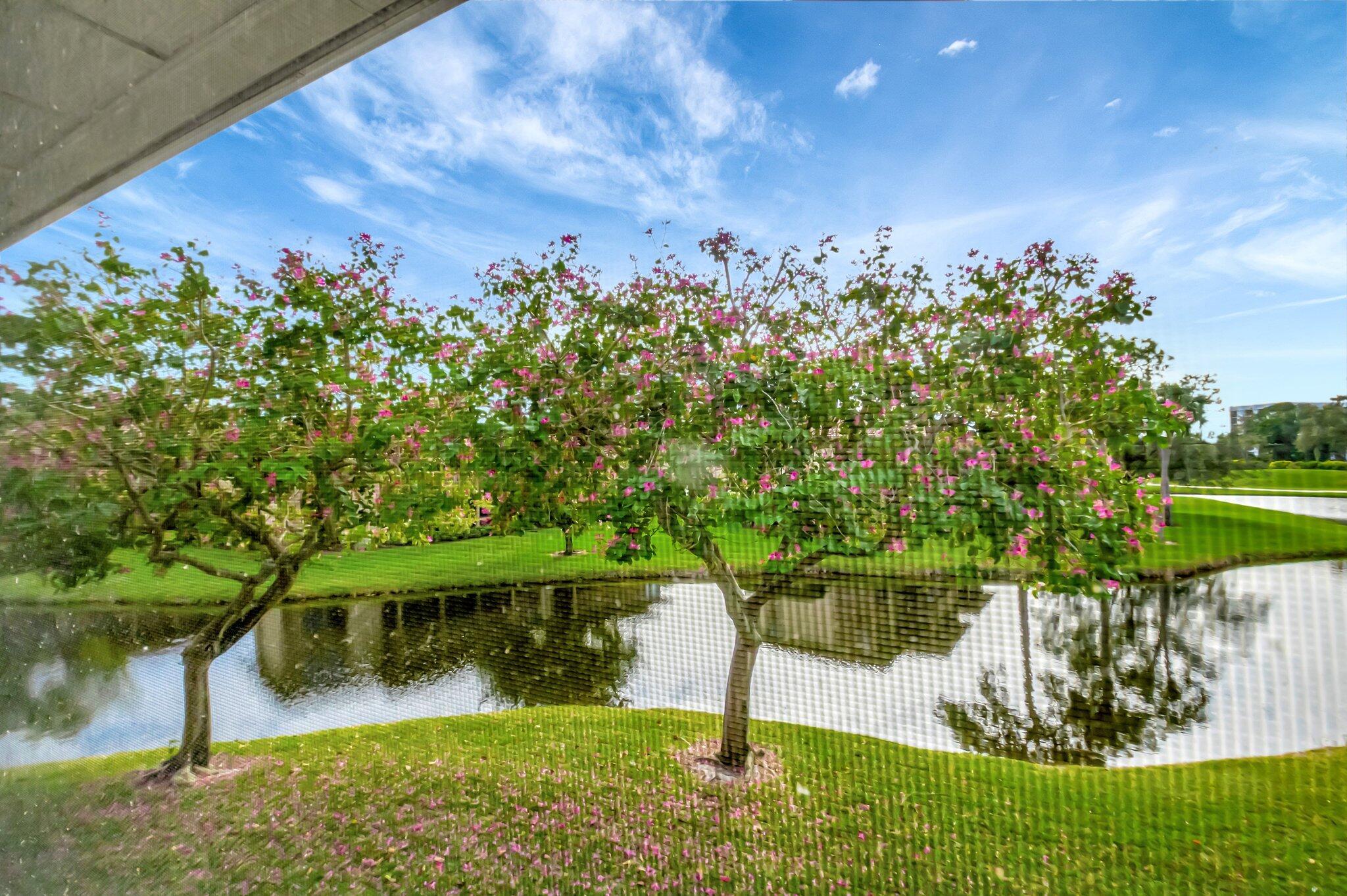 19945 Boca West Drive 3142